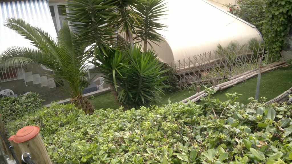 Le Conchiglie Otel Levanto Dış mekan fotoğraf