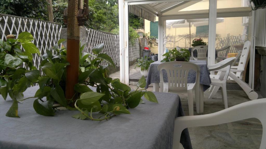 Le Conchiglie Otel Levanto Dış mekan fotoğraf